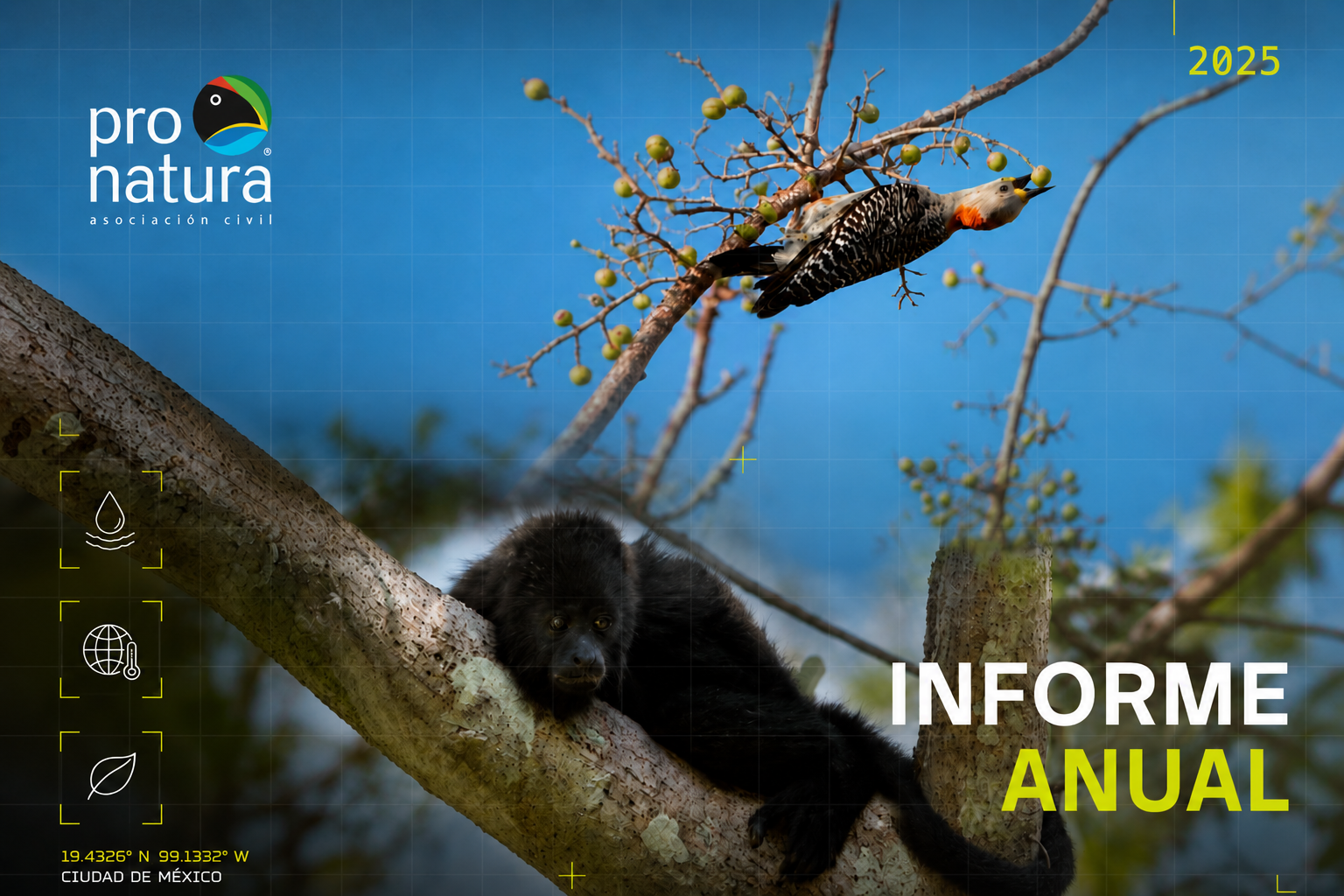 informe anual 2025